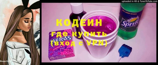 гашик Вяземский