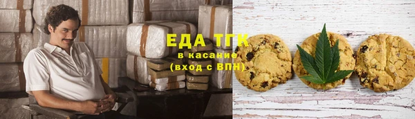 гашик Вяземский