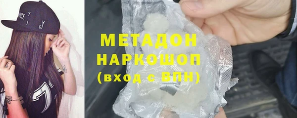прущие грибы Горняк