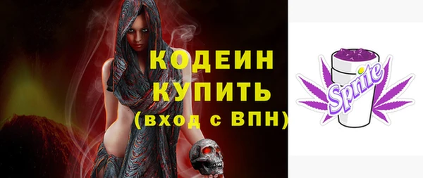 гашик Вяземский