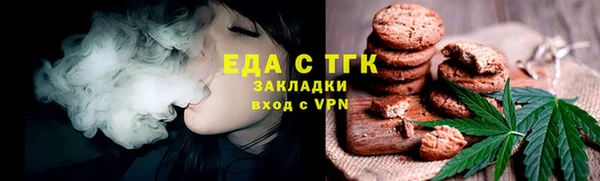 гашик Вяземский