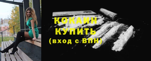 тгк Горно-Алтайск