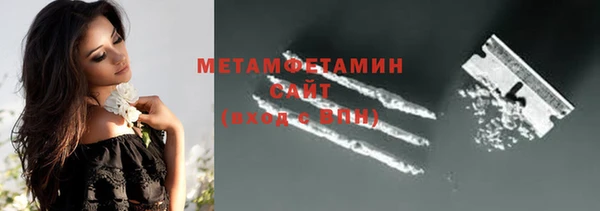 прущие грибы Горняк