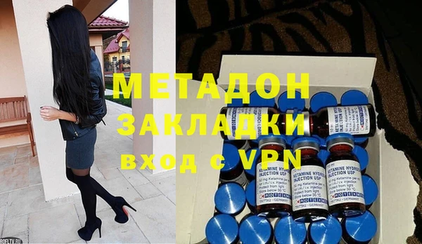 прущие грибы Горняк