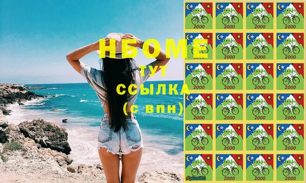 гашик Вяземский
