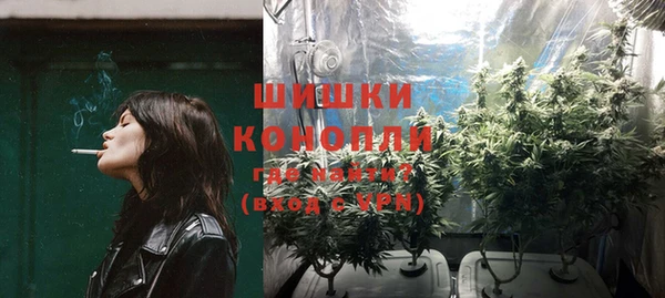 сатива Горнозаводск
