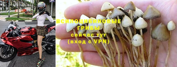крисы Вязьма