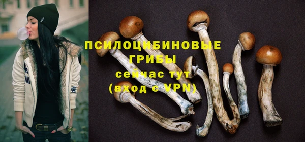 сатива Горнозаводск