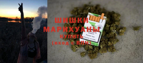прущие грибы Горняк