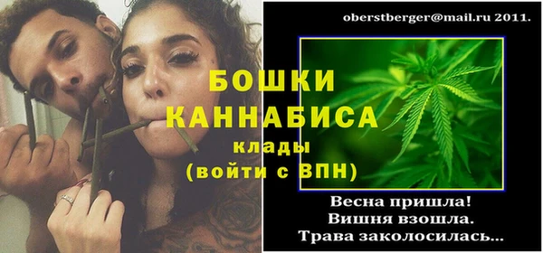крисы Вязьма
