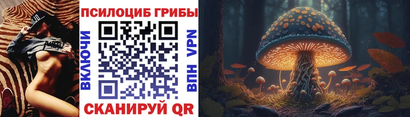 хочу наркоту  Гусь-Хрустальный  Псилоцибиновые грибы Psilocybe 
